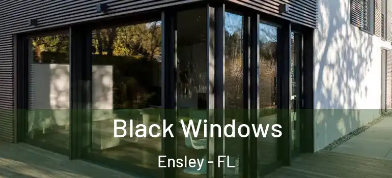  Black Windows Ensley - FL