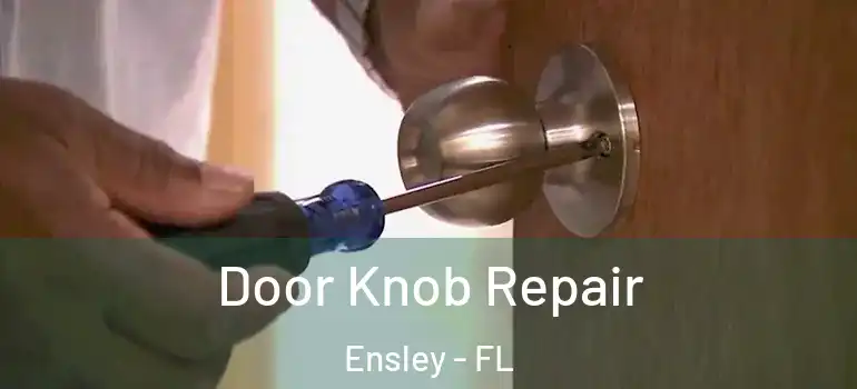  Door Knob Repair Ensley - FL