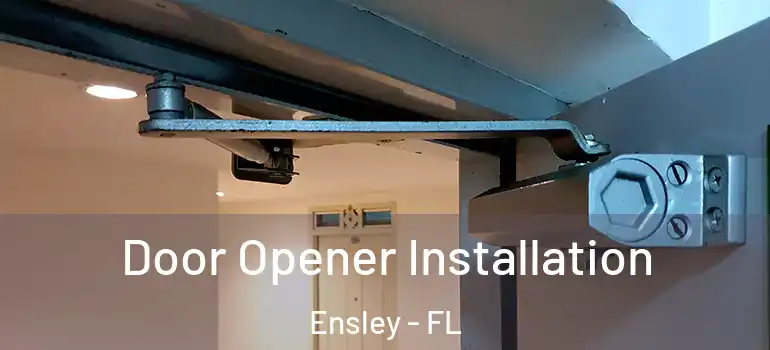  Door Opener Installation Ensley - FL
