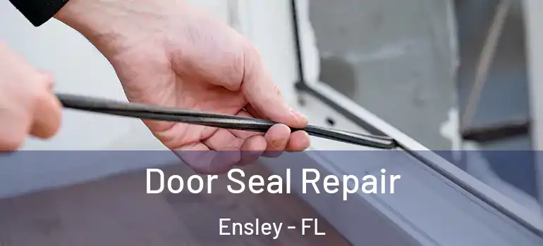  Door Seal Repair Ensley - FL