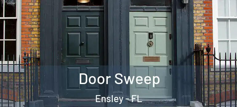  Door Sweep Ensley - FL