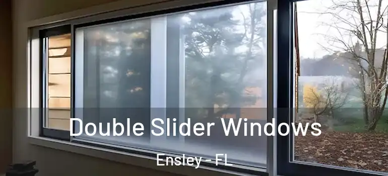  Double Slider Windows Ensley - FL