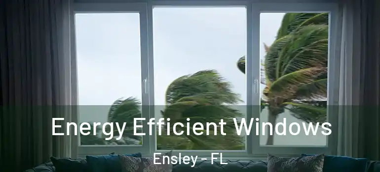  Energy Efficient Windows Ensley - FL