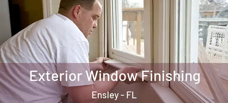  Exterior Window Finishing Ensley - FL