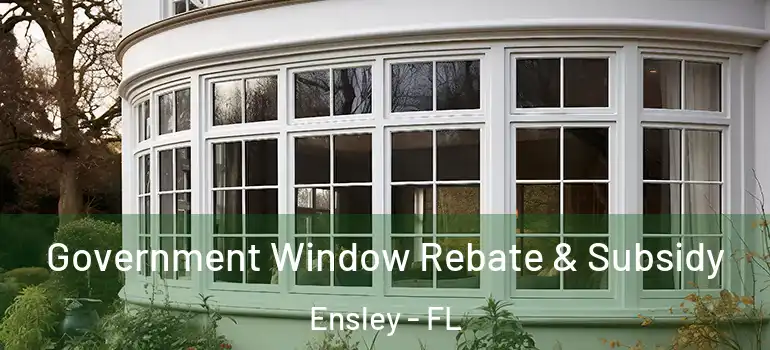  Government Window Rebate & Subsidy Ensley - FL