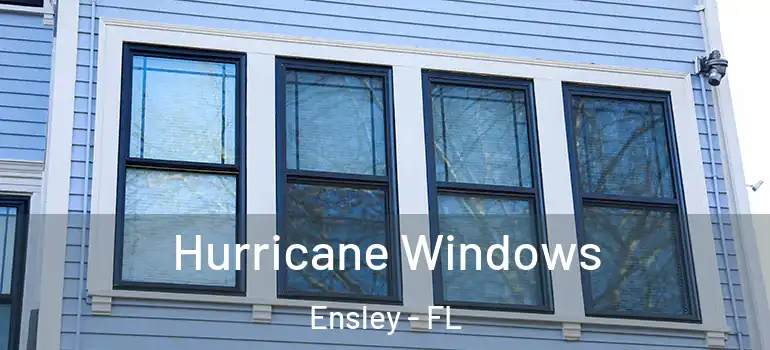  Hurricane Windows Ensley - FL