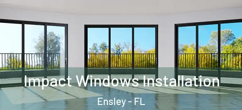  Impact Windows Installation Ensley - FL