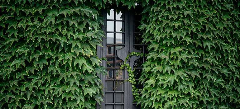 Garden Gate Repair in Ensley, FL