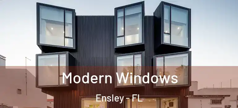  Modern Windows Ensley - FL