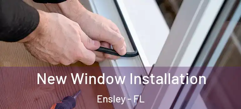  New Window Installation Ensley - FL