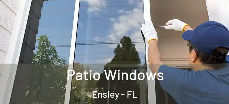  Patio Windows Ensley - FL