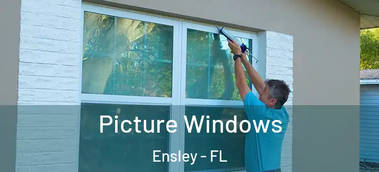  Picture Windows Ensley - FL