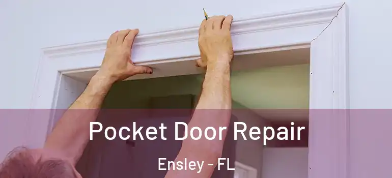  Pocket Door Repair Ensley - FL