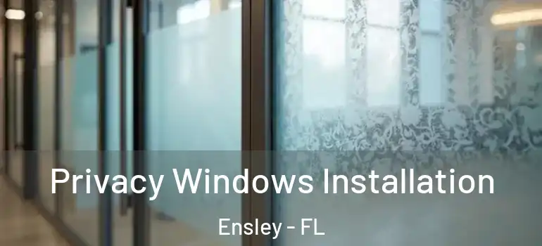  Privacy Windows Installation Ensley - FL