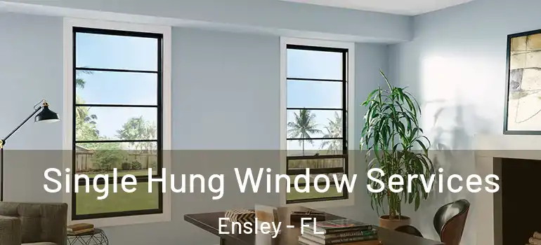  Single Hung Window Services Ensley - FL