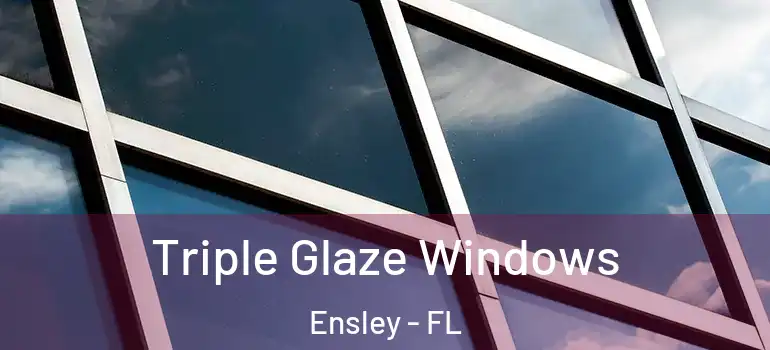  Triple Glaze Windows Ensley - FL