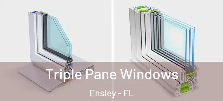  Triple Pane Windows Ensley - FL