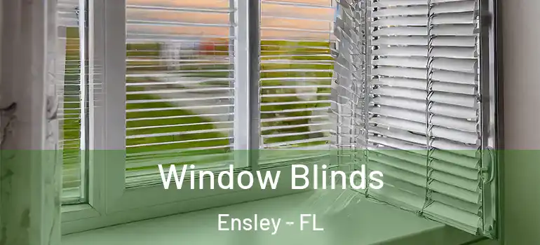  Window Blinds Ensley - FL