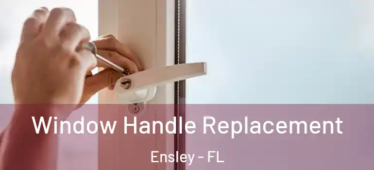  Window Handle Replacement Ensley - FL