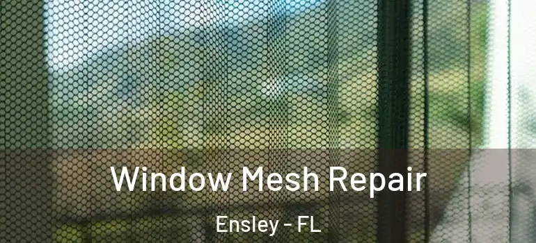  Window Mesh Repair Ensley - FL