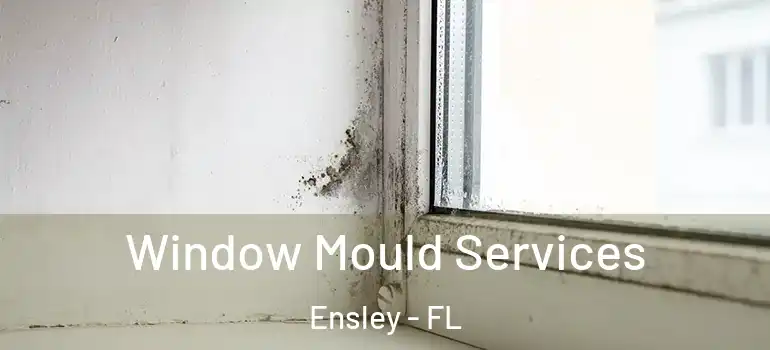  Window Mould Services Ensley - FL