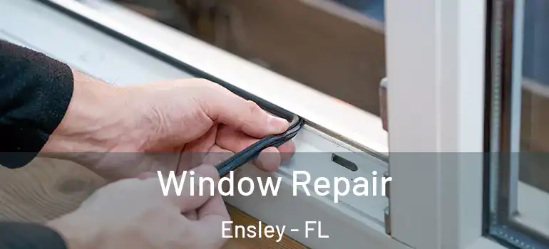  Window Repair Ensley - FL