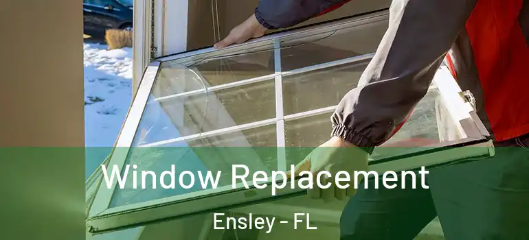  Window Replacement Ensley - FL