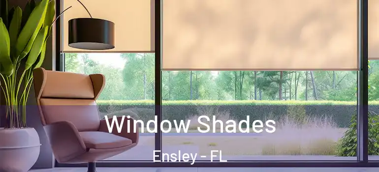  Window Shades Ensley - FL